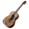 Acoustic Guitar
